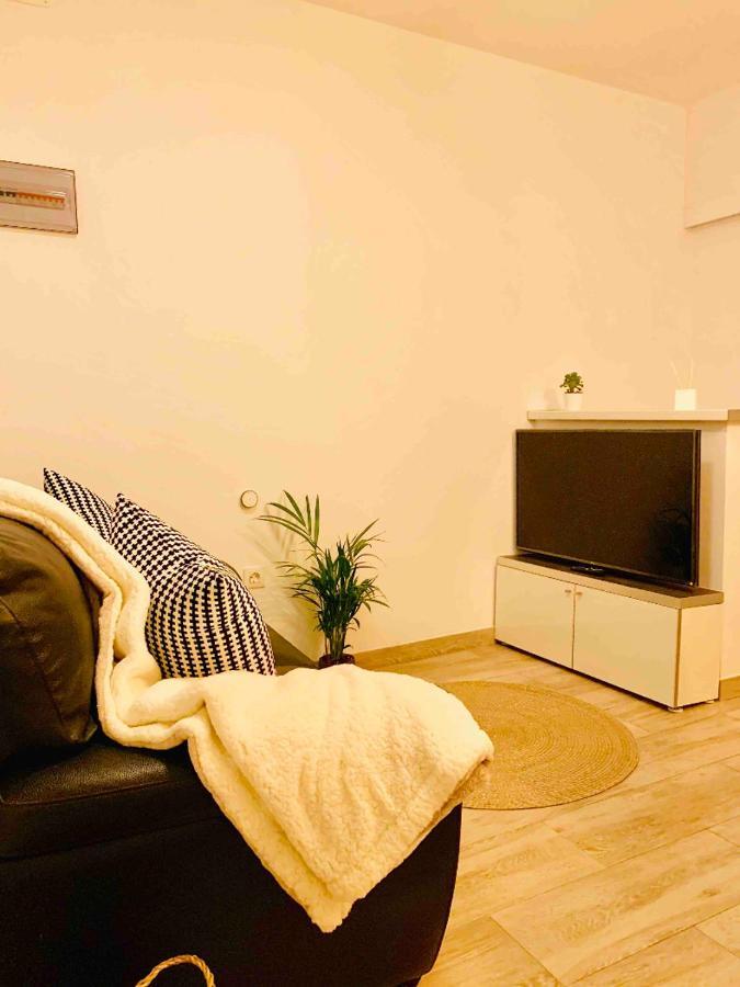 Cómodo apartamento en el corazón dé Tenerife La Laguna  Esterno foto